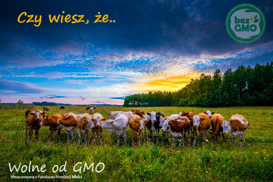 Produkty bez GMO zyskują coraz większą popularność Produkty bez GMO zyskują coraz większą popularność