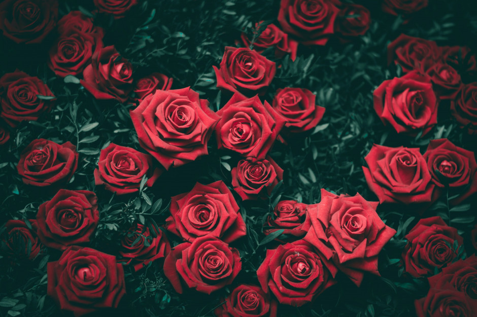 Bronisze: przed Walentynkami dobra sprzedaż kwiatów, głównie róż