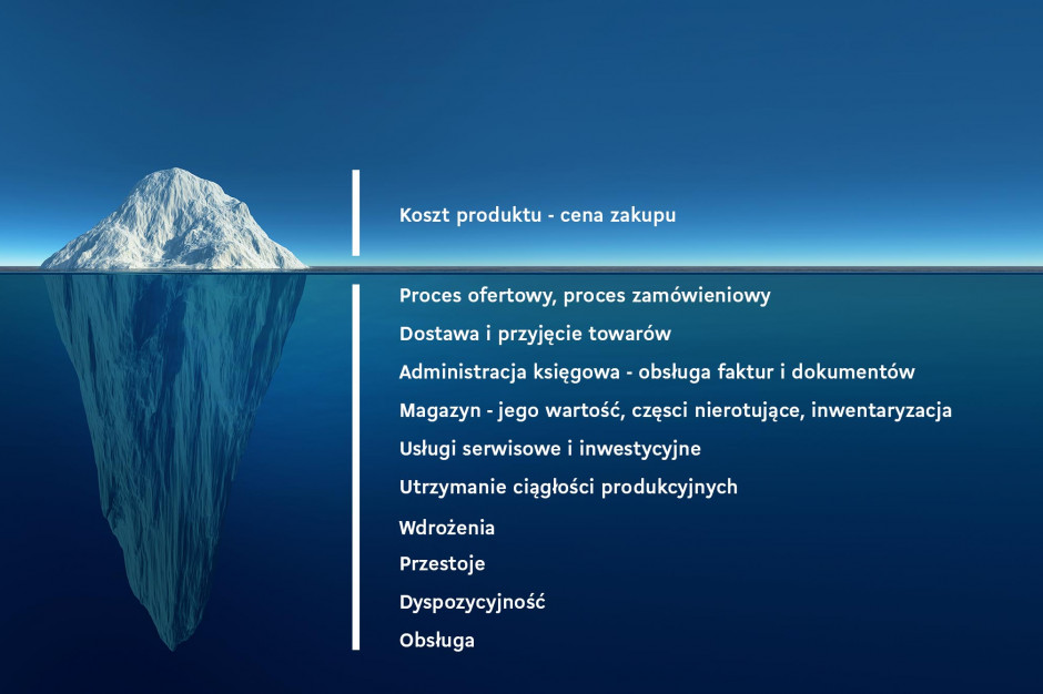 Jak zoptymalizować koszty w przedsiębiorstwie dzięki TCO