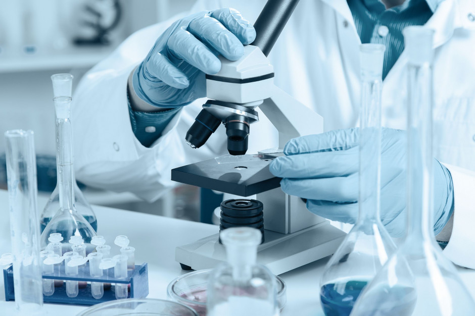 Bakterie należące do gatunku Lactobacillus plantarum zasiedlają różnorodne nisze ekologiczne; fot. shutterstock.com Plantarycyny – biosynteza, mechanizm działania i potencjał w zapewnianiu bezpieczeństwa żywności