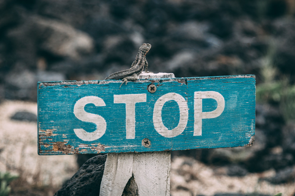 Będą nowe obostrzenia?; fot. unsplash.com Rząd rozważa pewne obostrzenia o charakterze regionalnym