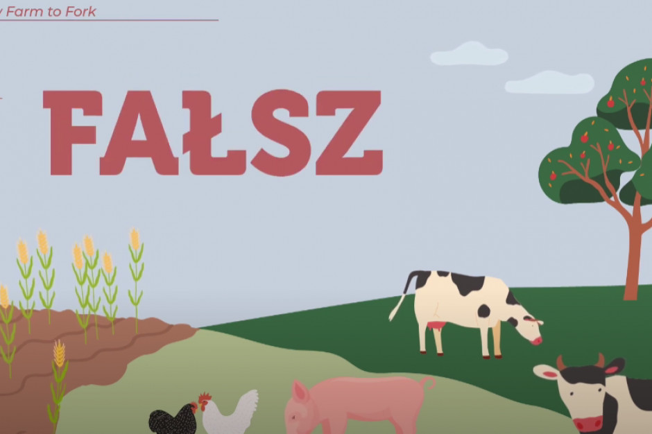 Branża mięsna oczekuje rewizji unijnej strategii "Od pola do stołu". fot. za YouTube Branża mięsna: Strategia