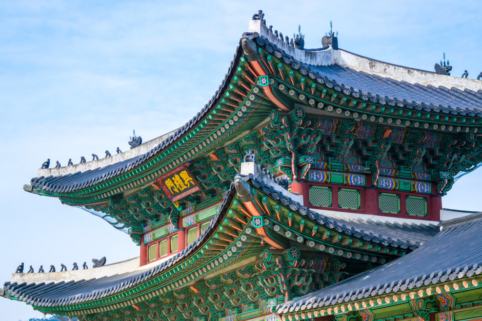 Korea Południowa znów pobiła rekord w eksporcie kurczaków. fot. unsplash Korea Południowa bije rekordy w eksporcie drobiu