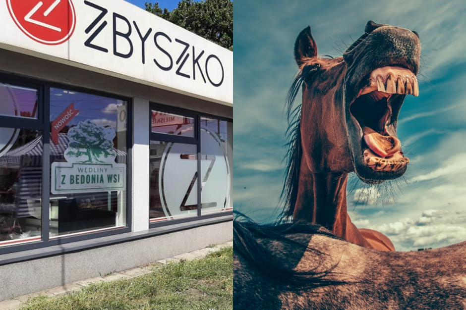 Łódzki Sanepid nakazał przerwanie licytacji 141 koni należących do właściciela Zakładów Mięsnych Zbyszko. fot. zbyszko.pl/unsplash.pl Co dalej z licytacją koni właściciela ZM Zbyszko?