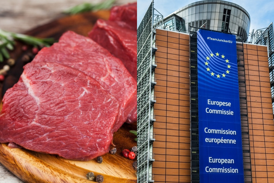 Organizacje polskich hodowców zwierząt są zaniepokojone toczącymi się w Parlamencie Europejskim dyskusjami na temat zakazu reklamy mięsa czerwonego. fot. shutterstock/pixabay (kolaż ps.pl) Polscy hodowcy przeciwko ograniczeniom w reklamie mięsa