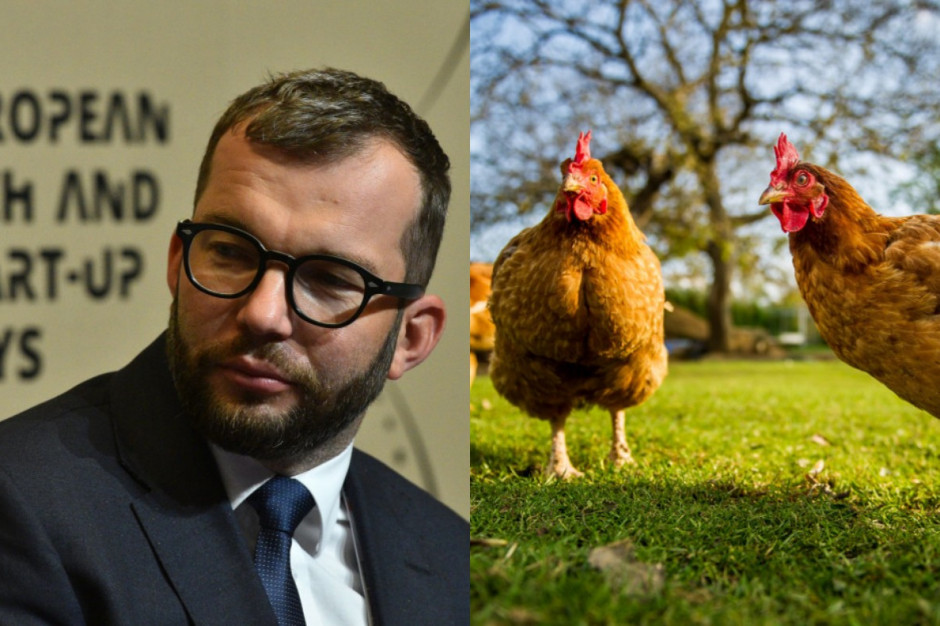 Puda: Grypa ptaków to strata dla całego sektora drobiarskiego Puda: Grypa ptaków to strata dla całego sektora drobiarskiego