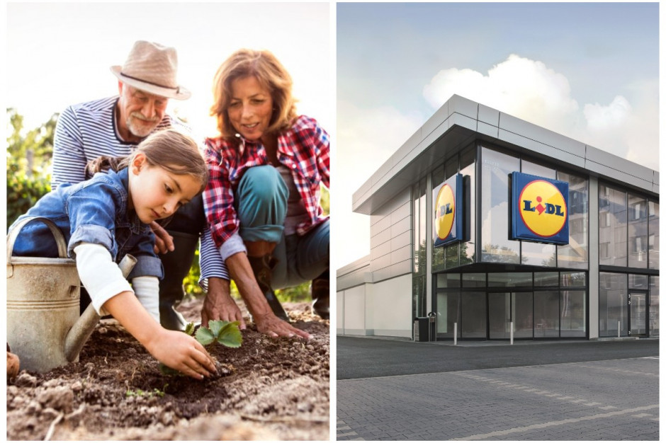 Lidl zachęca klientów do własnej uprawy warzyw. Fot. shutterstock Lidl zachęca klientów do własnej uprawy warzyw