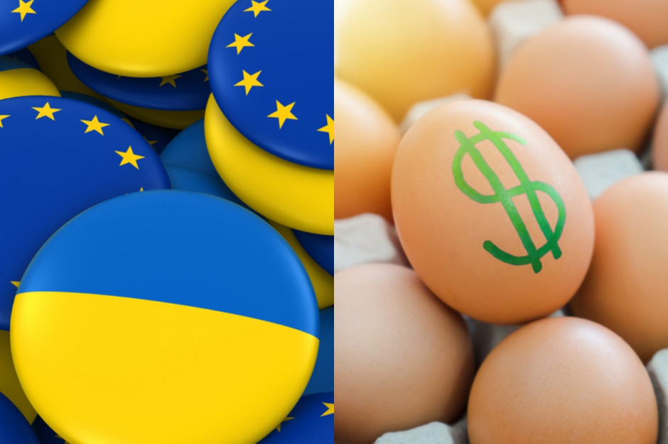 Avandgarco, jeden z najbardziej znanych producentów jaj na świecie, zmniejszył produkcję o połowę. fot. shutterstock (kolaż ps.pl) Ukraina: Jajeczny gigant zmniejszył produkcję o połowę
