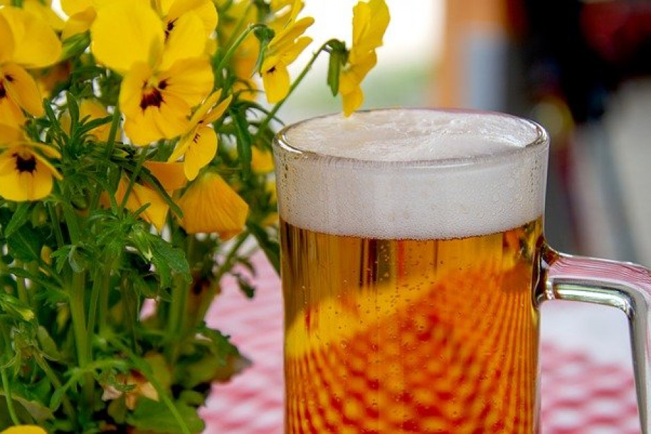 Grupa Żywiec wchodzi w sezon z zyskami, choć przychody spadły w I kw. 2021 fot. pixabay.com Grupa Żywiec wchodzi w sezon z zyskami, choć przychody spadły