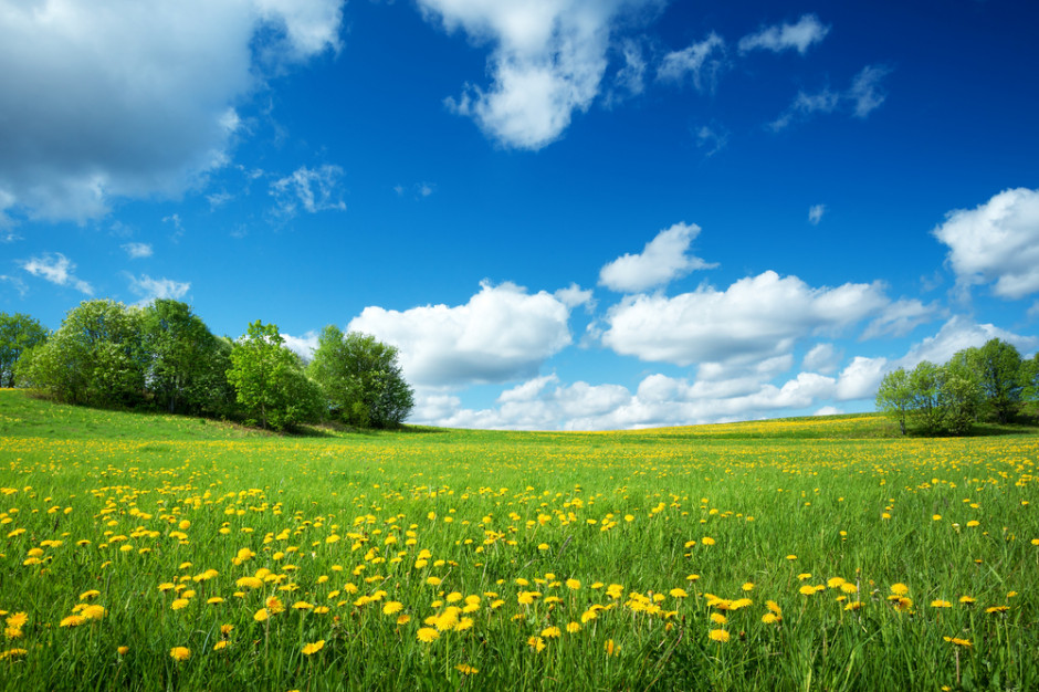 Majówka ciepła bez wysokich temperatur, fot. shutterstock Majówka ciepła bez wysokich temperatur