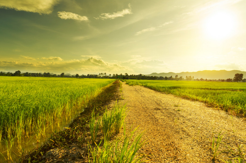 fot. Shutterstock 30.04 wchodzą przepisy przedłużające zakaz sprzedaży ziemi SP