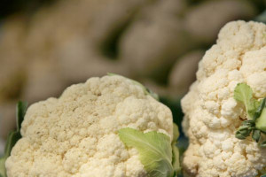 Marihuana warta 4,5 mln zł przemycona w transporcie kalafiorów