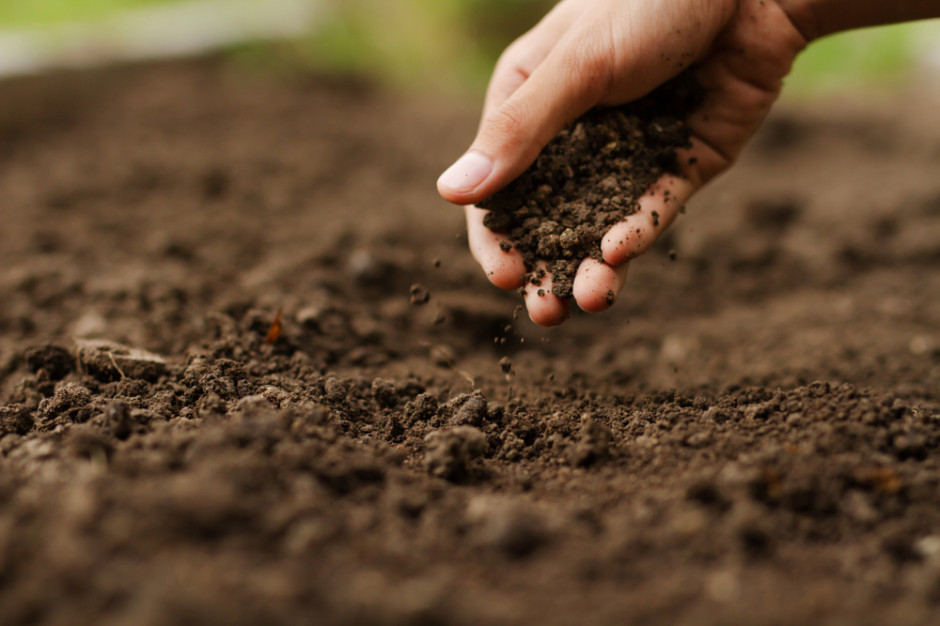 Naukowcy analizują pestycydy w europejskich glebach