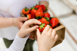 Truskawki 2021. Ile kosztują pierwsze owoce?