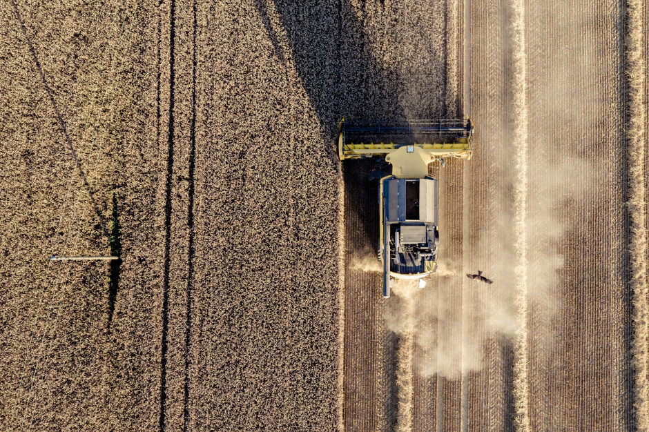 W ub.r. mogło dojść do wzrostu szarej strefy w rolnictwie - wskazuje Polski Instytut Ekonomiczny. fot. unsplash PIE: W 2020 roku zwiększyła się szara strefa w rolnictwie