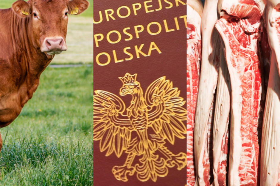 Jeszcze w 2021 roku ruszy pilotaż dot. paszportyzacji żywności. fot. shutterstock (kolaż ps.pl) KOWR: Pilotaż paszportyzacji żywności jeszcze w 2021