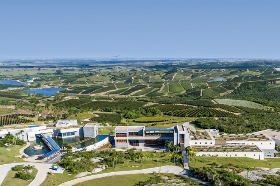 Bodega Garzon jest największą inwestycją winiarską w historii Urugwaju. fot. materiały prasowe Dom Wina Największa inwestycja winiarska w Urugwaju, samowystarczalna energetycznie