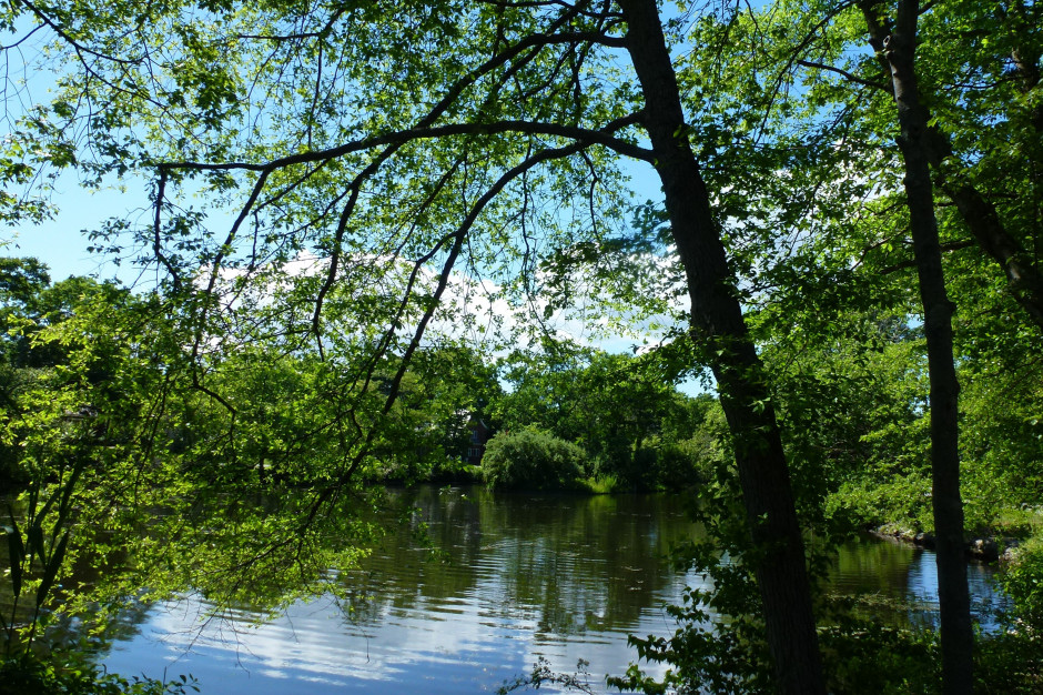 Weekend będzie ciepły i przeważnie pogodny; fot. unsplash.com Weekend będzie ciepły - do 25 st. C