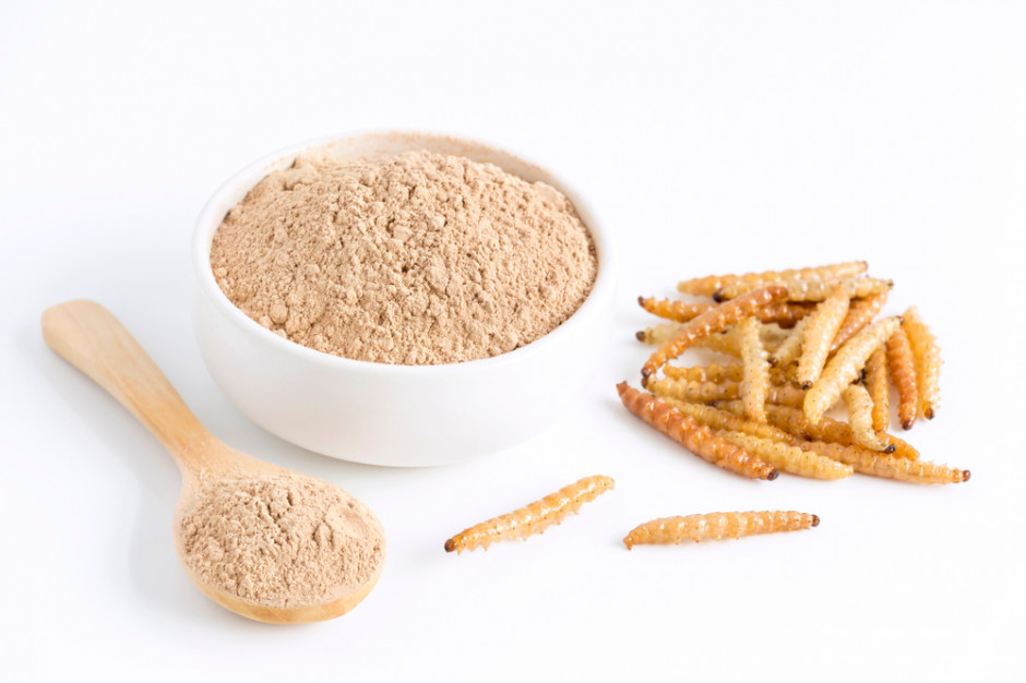 HiProMine jest dostawcą alternatywnego białka produkowanego w technologii przemysłowej hodowli owadów; fot. shutterstock Producent białka z owadów chce zwiększyć sprzedaż o 300 proc.