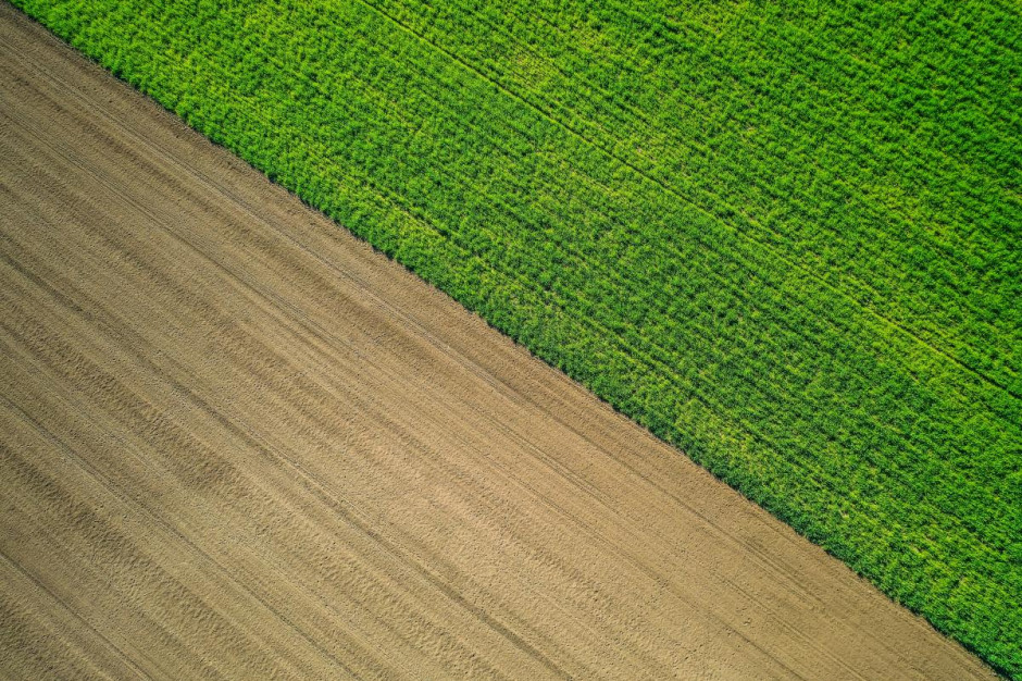 Ostatnie dni na ubieganie się o dopłaty bezpośrednie za 2021 /fot. Unsplash Ostatnie dni na ubieganie się o dopłaty bezpośrednie za 2021