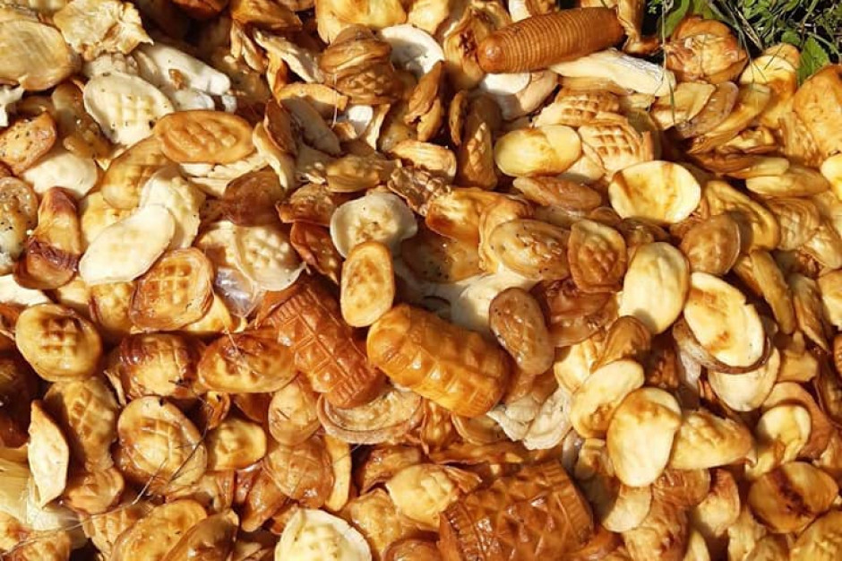 Śmierdzące sery mogą stanowić śmiertelne zagrożenie dla dzikich mieszkańców; fot. Nadleśnictwo Ustrzyki Dolne, Lasy Państwowe Kilogramy oscypków wyrzucone w lesie w Bieszczadach