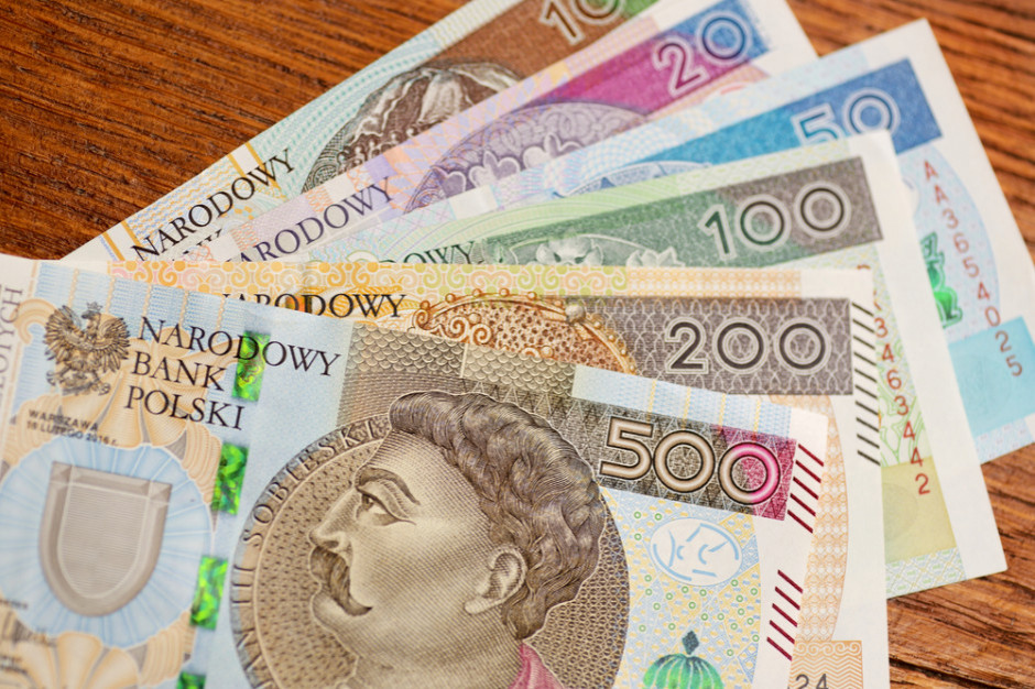 Złoty może wrócić w okolice 4,60/EUR /fot. Shutterstock Złoty może wrócić w okolice 4,60/EUR