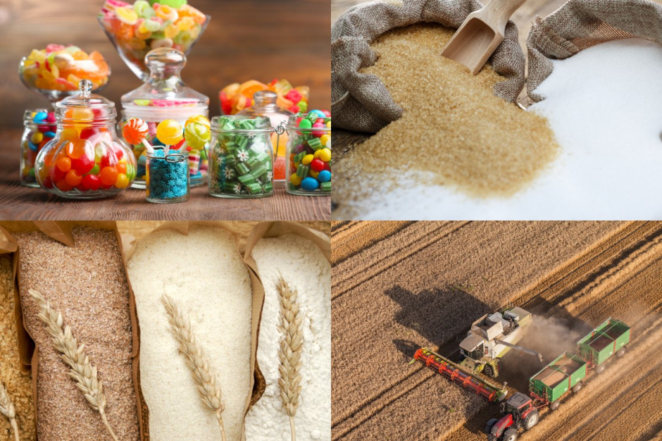 Przyspieszyły prace nad Narodowym Holdingiem Spożywczym. Kolaż, fot. shutterstock Przyspieszyły prace nad Narodowym Holdingiem Spożywczym
