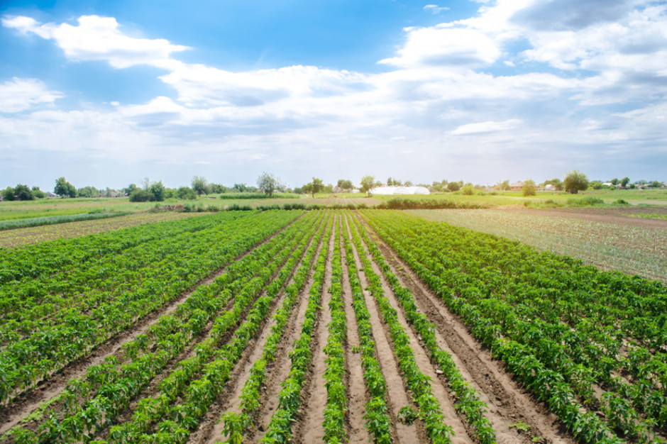 Uprawy ekologiczne muszą być korzystne dla środowiska i klimatu, fot. shutterstock Uprawy ekologiczne muszą być korzystne dla środowiska i klimatu