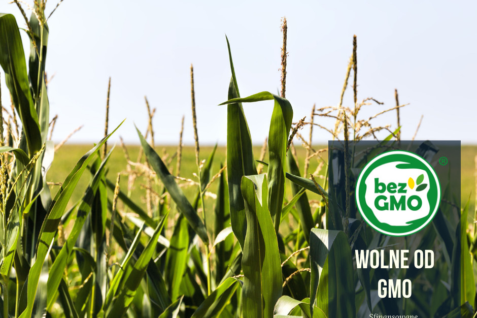 Coraz więcej mleczarni przechodzi na produkcję bez GMO