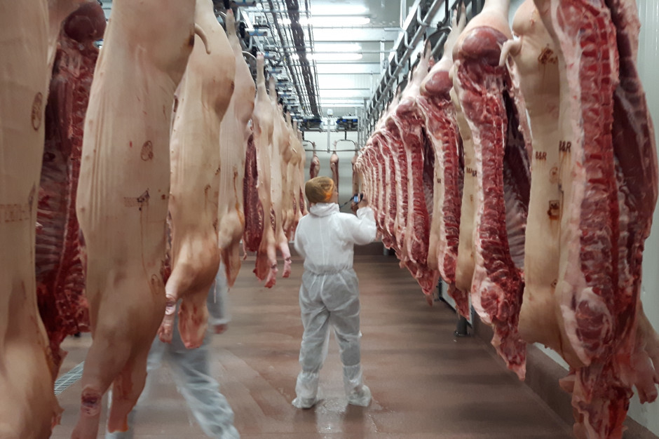 Sytuacja małych i średnich zakładów mięsnych jest trudniejsza niż na początku pandemii. fot. Portalspozywczy.pl Małym i średnim zakładom mięsnym grozi fala upadłości