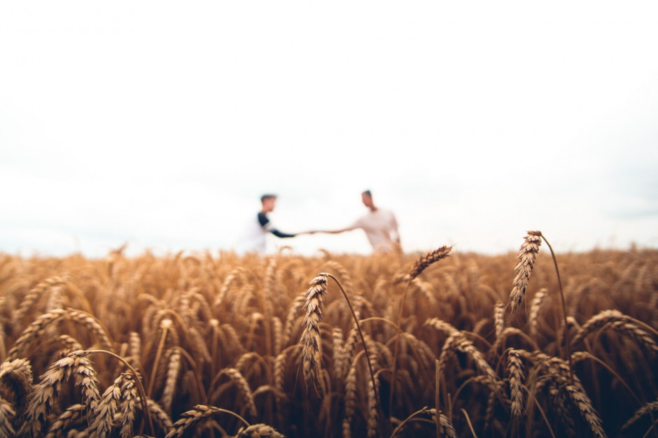 Copa-Cogeca: Trzeba zachować zdrowy rozsądek w reformowaniu WPR /fot. Unsplash Copa-Cogeca: Trzeba zachować zdrowy rozsądek w reformowaniu WPR