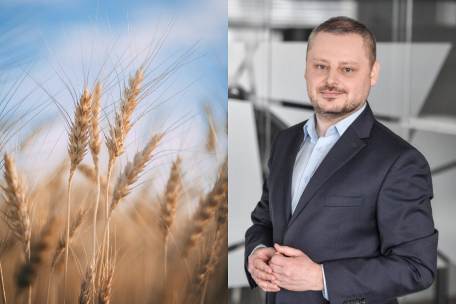 Paweł Kowalski, ekspert sektora rolno-spożywczego w Departamencie Analiz Makroekonomicznych Banku Pekao S.A. o rynku zbóż; fot. mat.pras. / unsplash.com USDA obniża prognozę zbiorów zbóż. To już odbija się na cenach