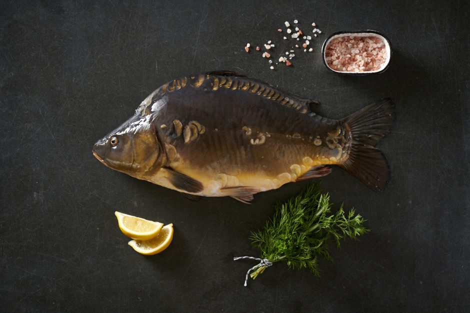 Karpie, które trafiają do sprzedaży w sklepach Carrefour, pochodzą w 100% wyłącznie z polskich hodowli; fot. shutterstock Carrefour zapowiedział, że nie będzie sprzedawał żywych karpi
