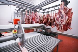 Cudzoziemcy nielegalnie zatrudnieni w zakładzie mięsnym