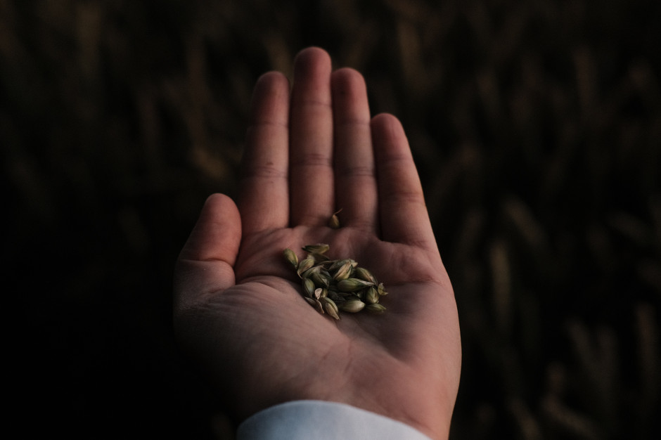 Wiele wskazuje na to, iż w okresie styczeń/luty br. eksport zbóż drogą morską z kraju będzie słaby; fot. unsplash IZP: Słaby eksport zbóż drogą morską