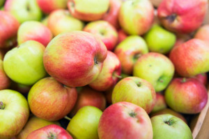 Rynek jabłek. Kiedy nastąpi przełamanie w handlu?