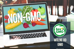 Nie cichną spory o GMO