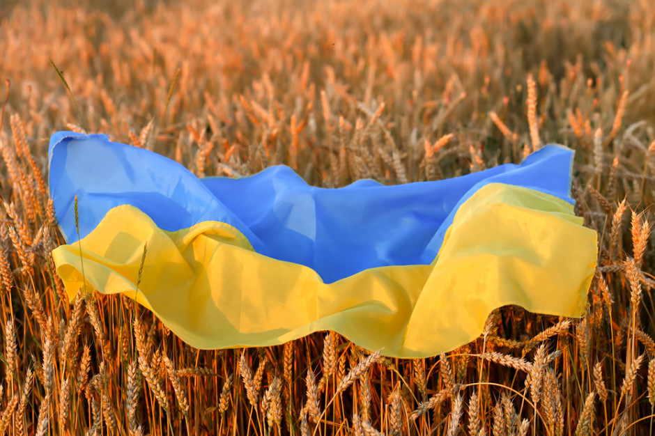 Zbiory zbóż na Ukrainie mogą spaść o 35 procent. 