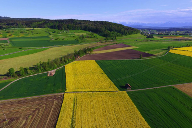 Sejm uchwalił ustawę o rolnictwie ekologicznym