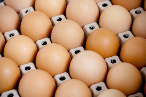 Producenci jaj zrezygnowali z opakowań z Rosji. Zrodziło to nowe problemy