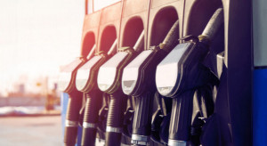 Ceny paliw - rząd chce je zamrozić