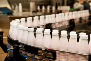 Dlaczego produkcja mleka spada, choć rośnie na nie popyt?