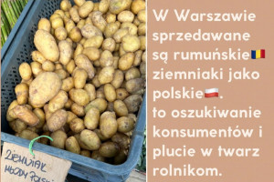 Rumuńskie ziemniaki sprzedawane są jako polskie 3 razy drożej