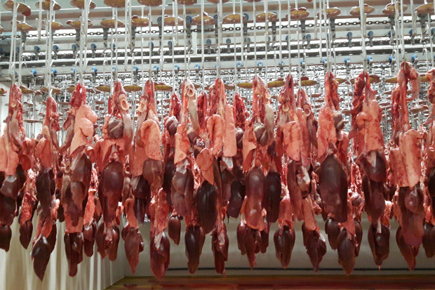 Rząd uruchomi państwowe zakłady mięsne? Mają pomóc w walce z ASF