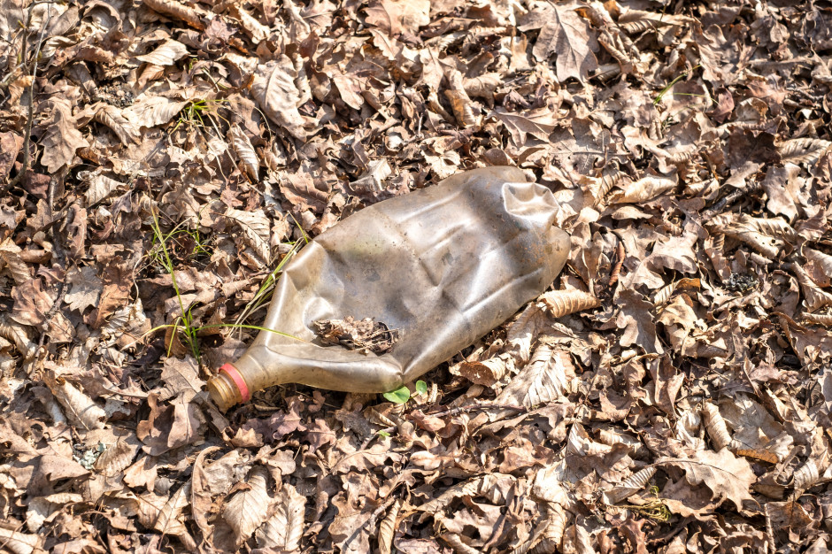 Wyrzucane przez ludzi puszki i butelki stają się pułapkami dla zwierząt