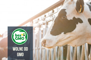PIM zawiesza certyfikację w ramach Standardu Bez GMO