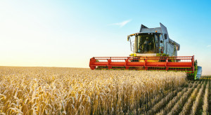 Rumunia: produkcja zbóż będzie mniejsza niż przed rokiem