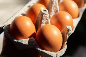 Jaja zyskają na inflacji? "Dziś opłaca się je kupować zamiast mięsa"