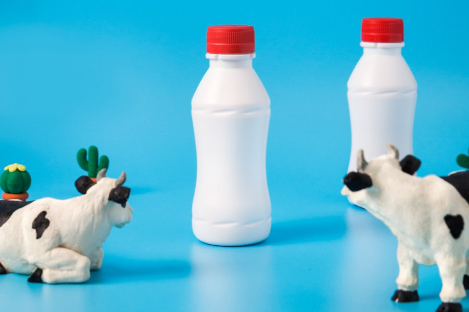 Dobre czy złe – jakie było pierwsze półrocze dla mleczarstwa?