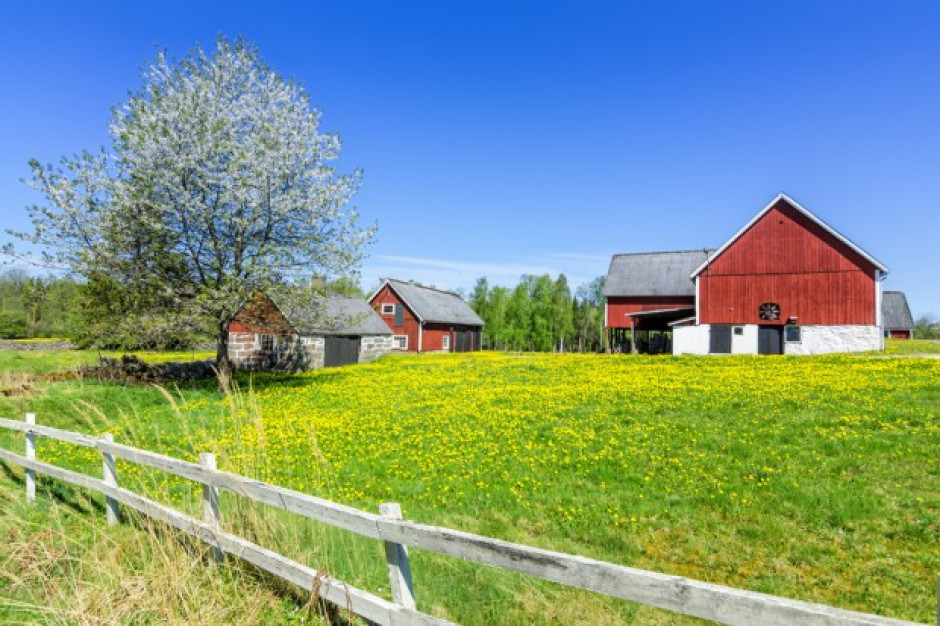 Rząd Holandii chce zlikwidować jedną czwartą gospodarstw rolnych